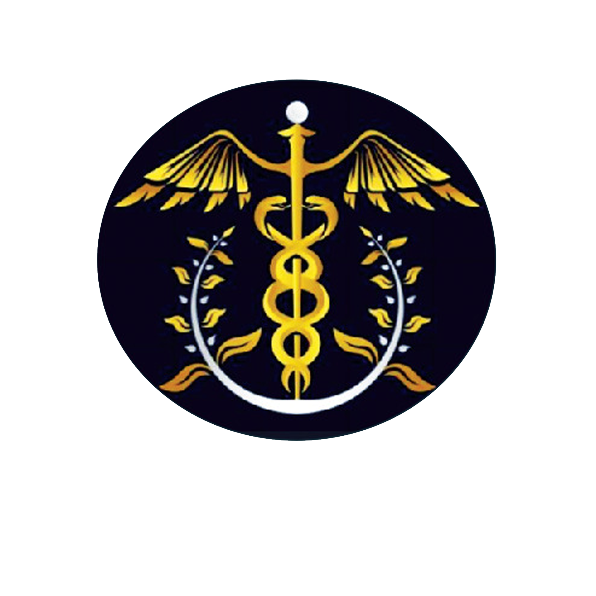 Surgical Hub
